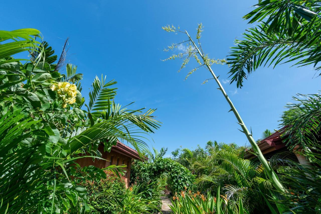 D Canal House Mirissa Bagian luar foto